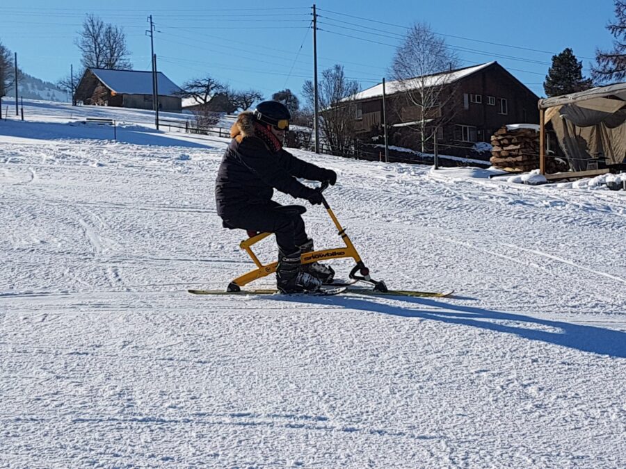 Snowbike Q1 Brenter gebraucht, Mengenrabatt n.V. – Bild 4